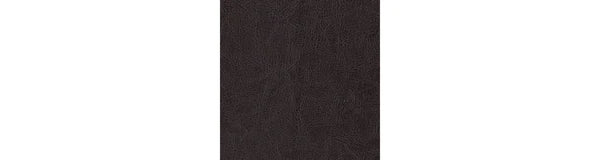 Earhart Chestnut Reclining Sofa | 2910188