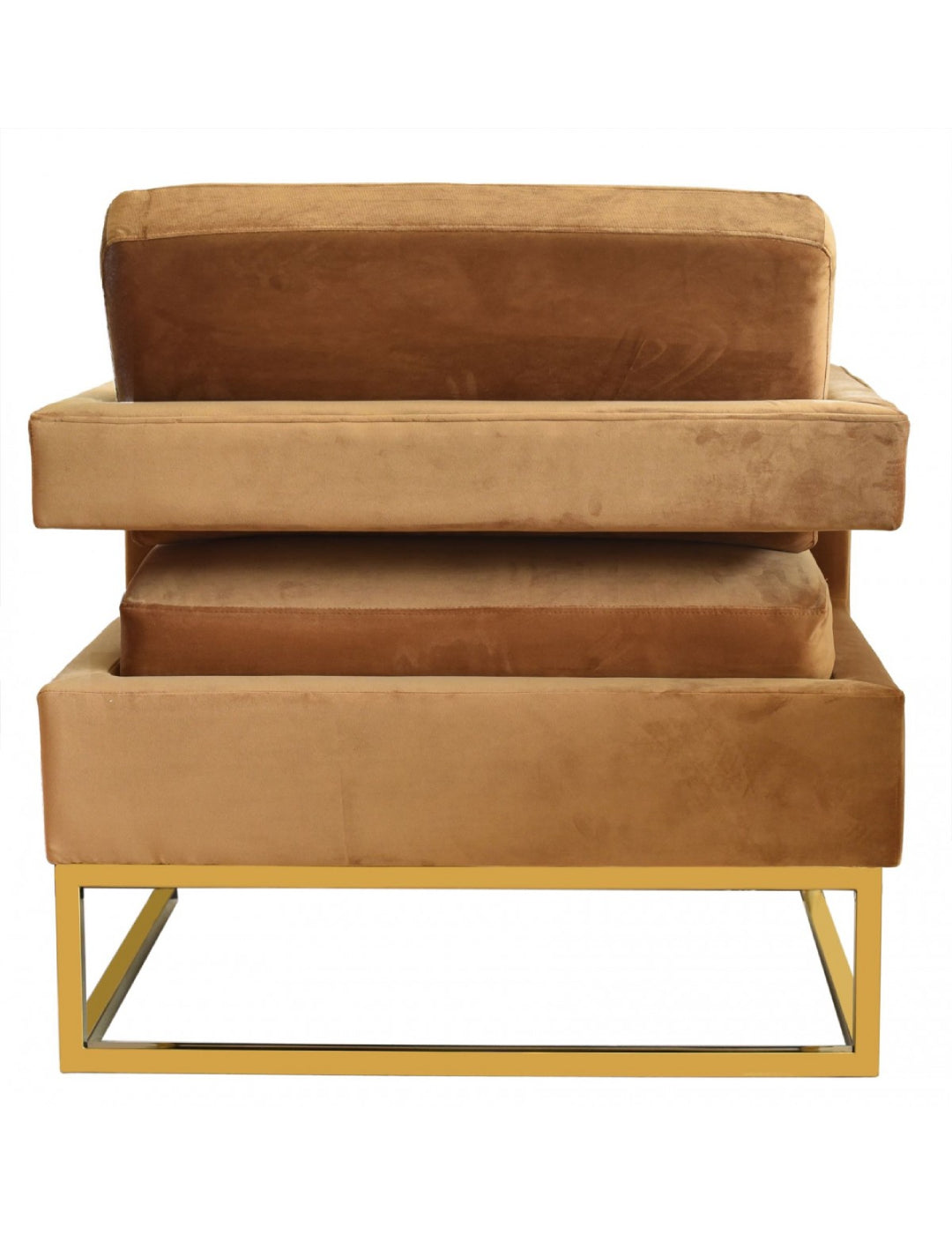 Modrest Edna Modern Velvet & Gold Accent Chair