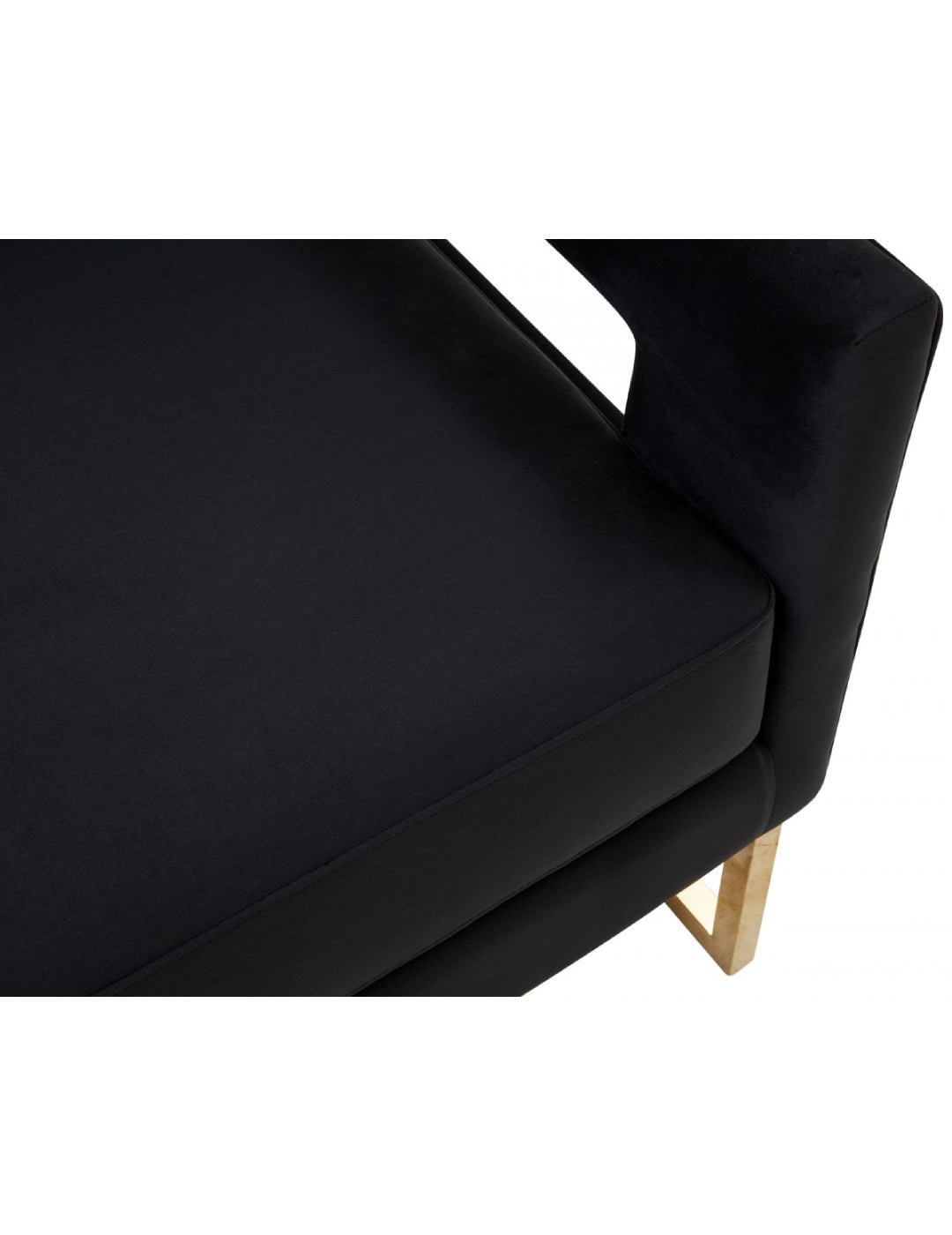 Modrest Edna Modern Velvet & Gold Accent Chair