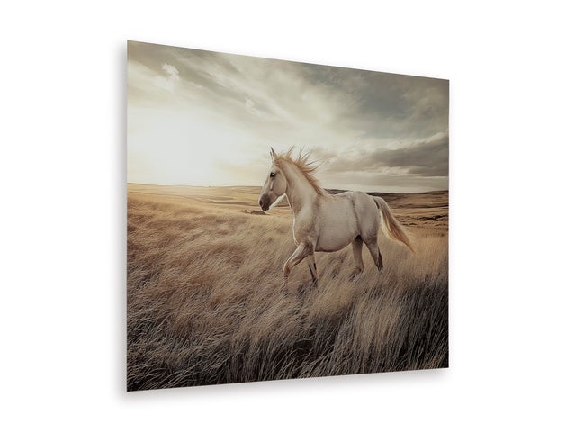 Ashley A8000489 - Wall Art **NEW ARRIVAL**