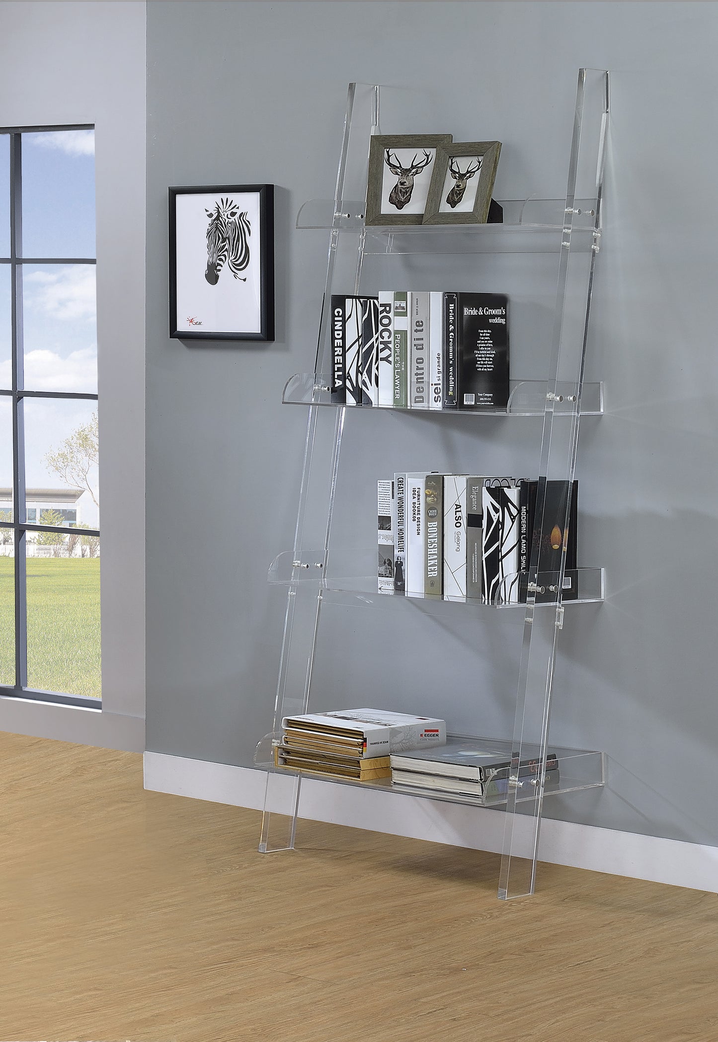 Amaturo 4-Shelf Ladder Bookcase Clear    - 	801553