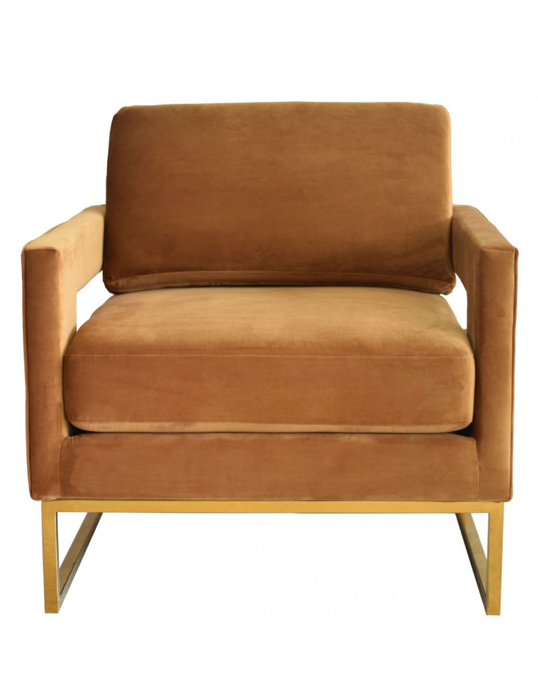 Modrest Edna Modern Velvet & Gold Accent Chair