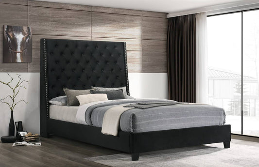 HH630 6FT - Queen, King Black