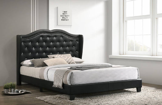 Paradise Black - Full, Queen, King